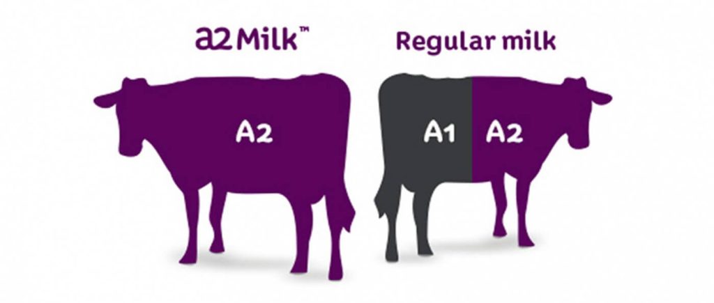 A1 Vs A2 Milk - What's the Difference?